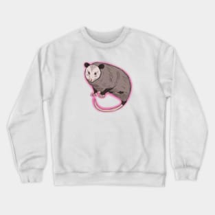 Shy Possum Crewneck Sweatshirt